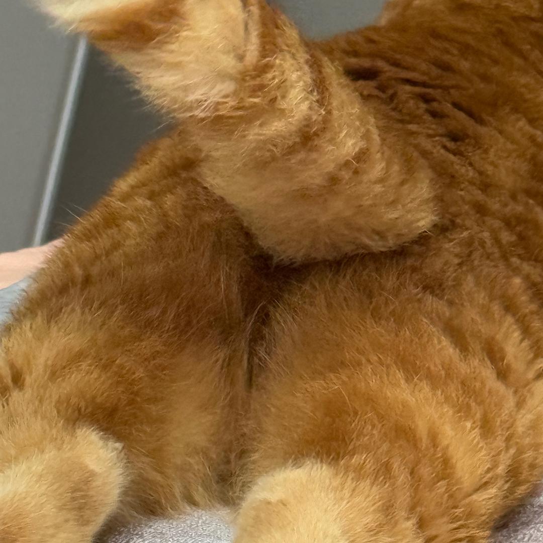 ebb的Jiojio（健康平安快乐🌾）