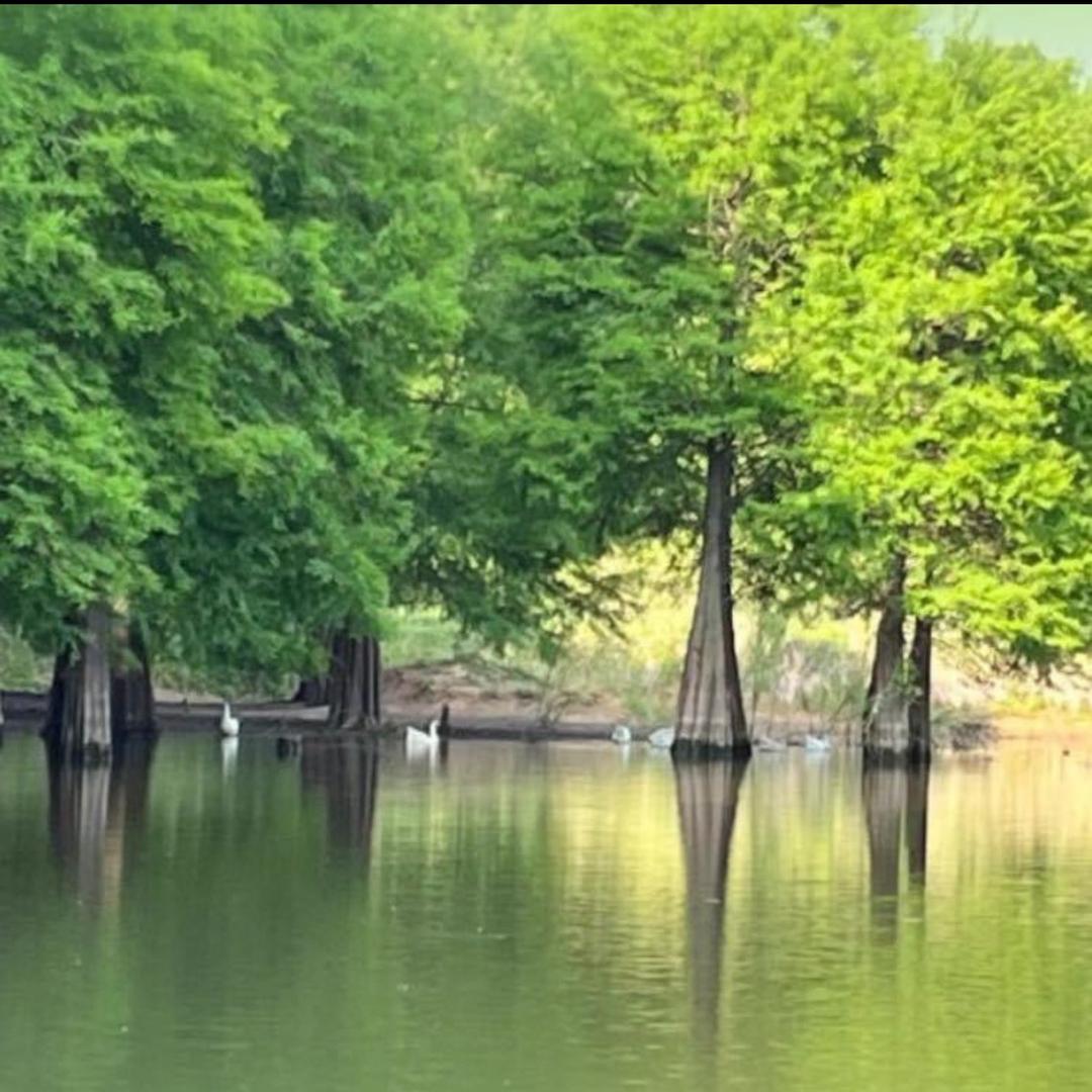 驻马店拾年珠宝 高端原创设计