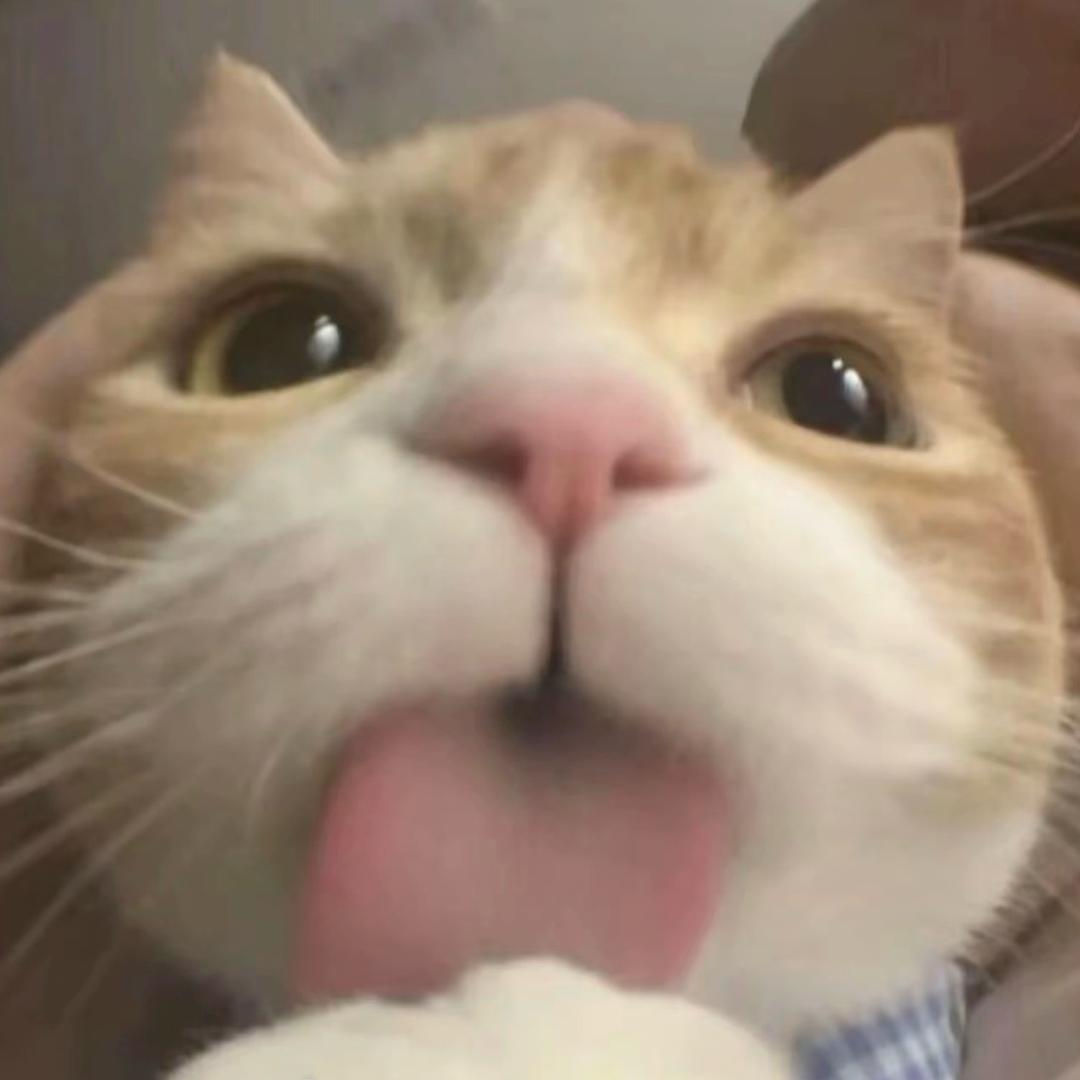 萌面大虾