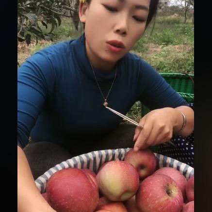 昭通苹果王梅