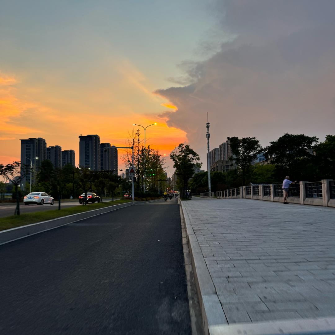尼古拉丝
