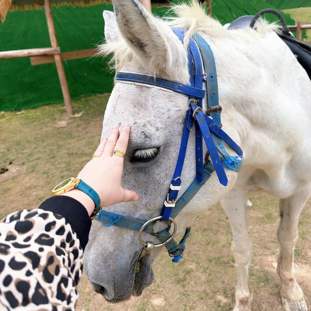 ❁ 𝑬𝑳𝒎𝒊𝒏𝒖𝒓-❁