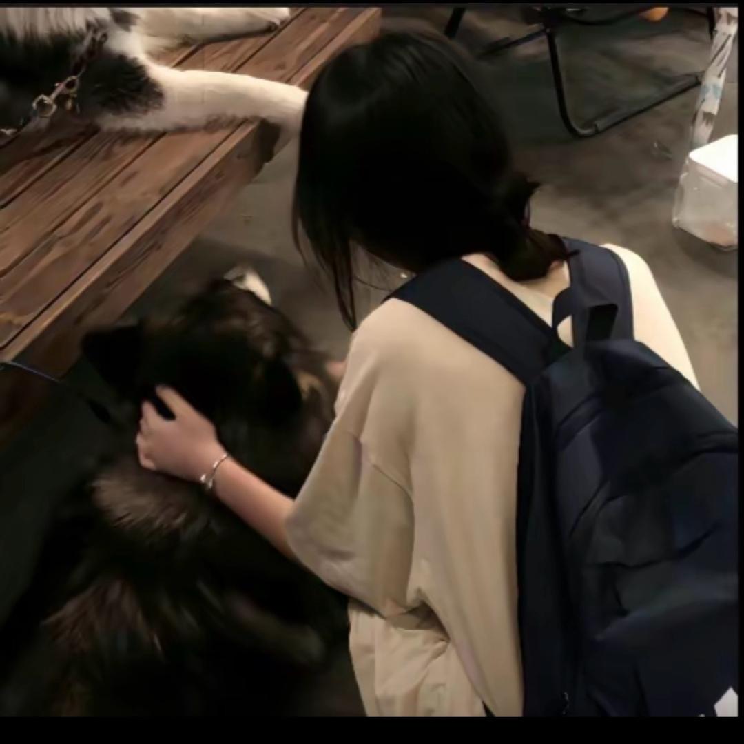 @情字开头.