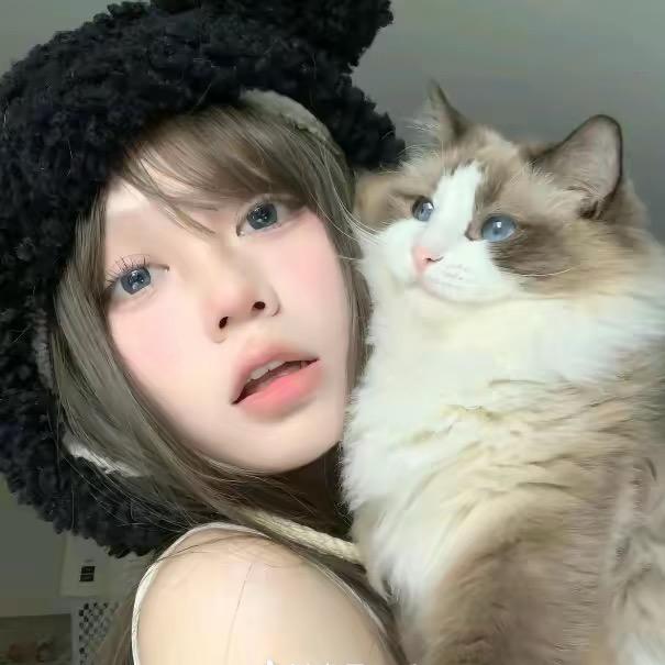 雅雅