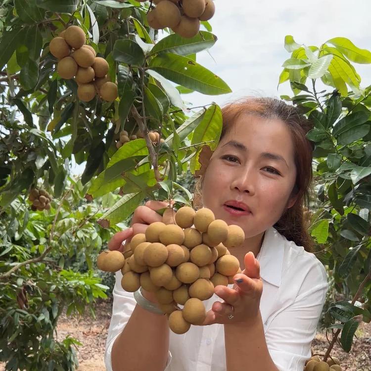 美丽的夏天