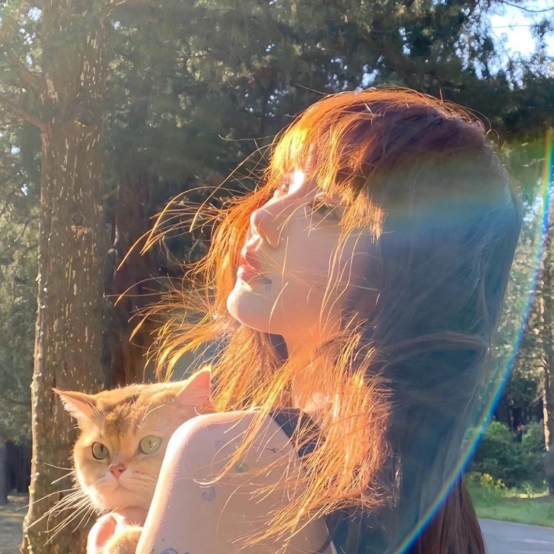 团子的家🏠（硬装中）