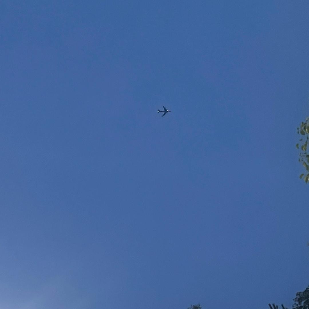 擘画