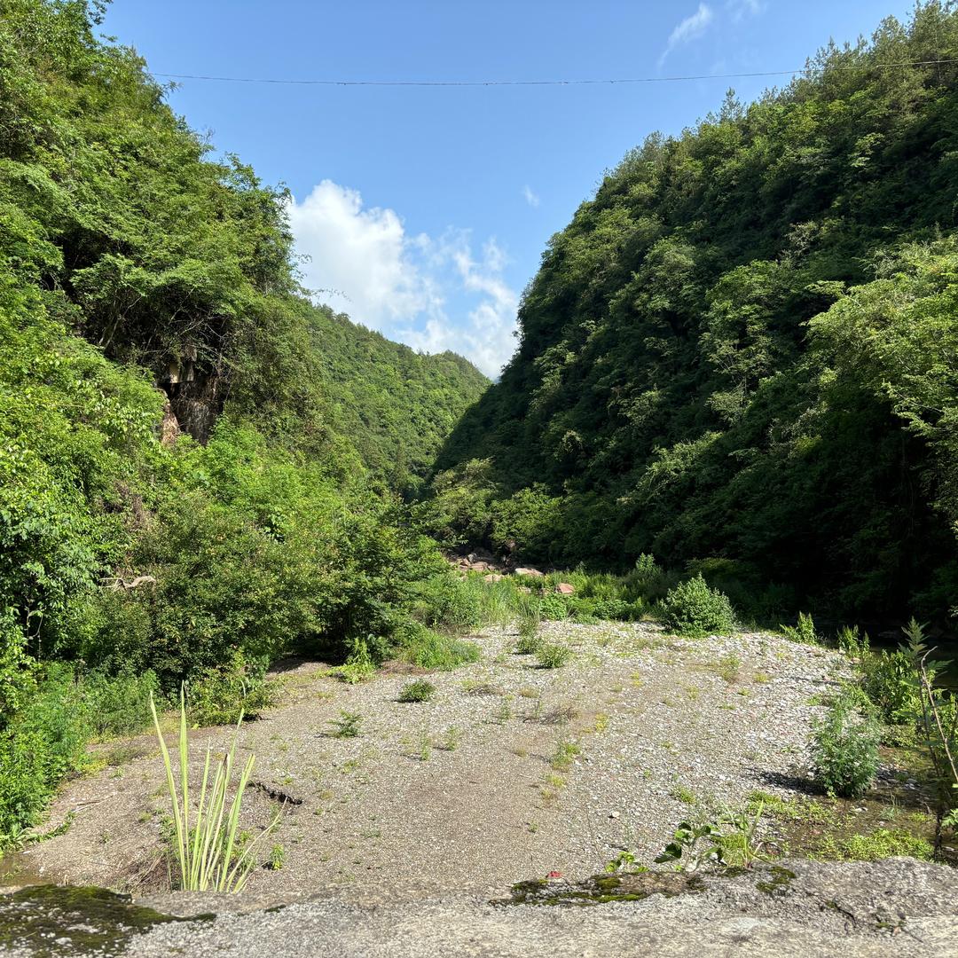 苗家古方