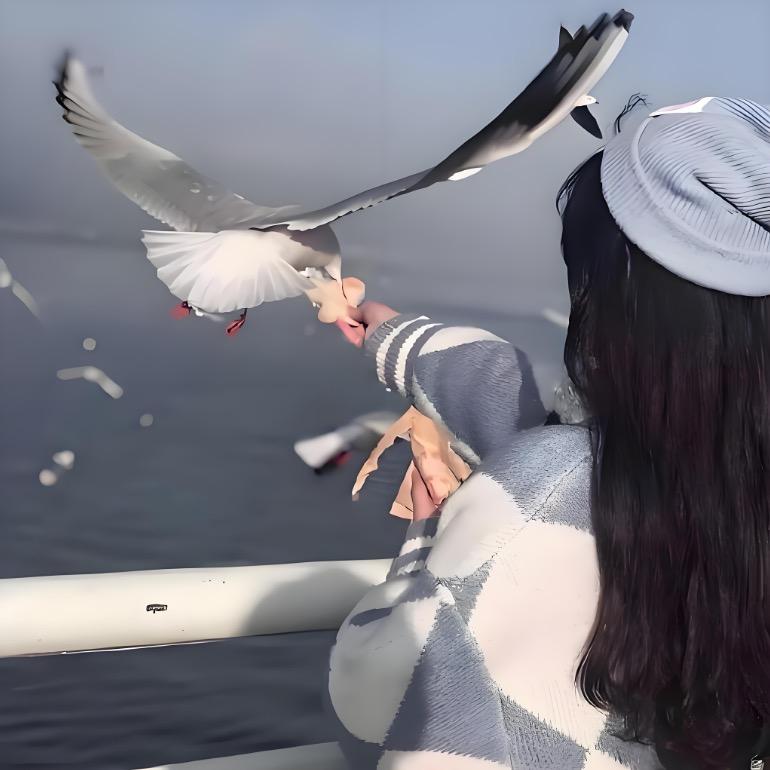 夏之风物诗