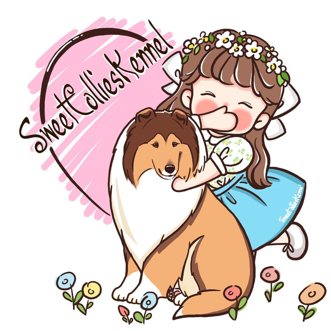 ฅ՞•ﻌ•՞ 甜心柯利犬舍