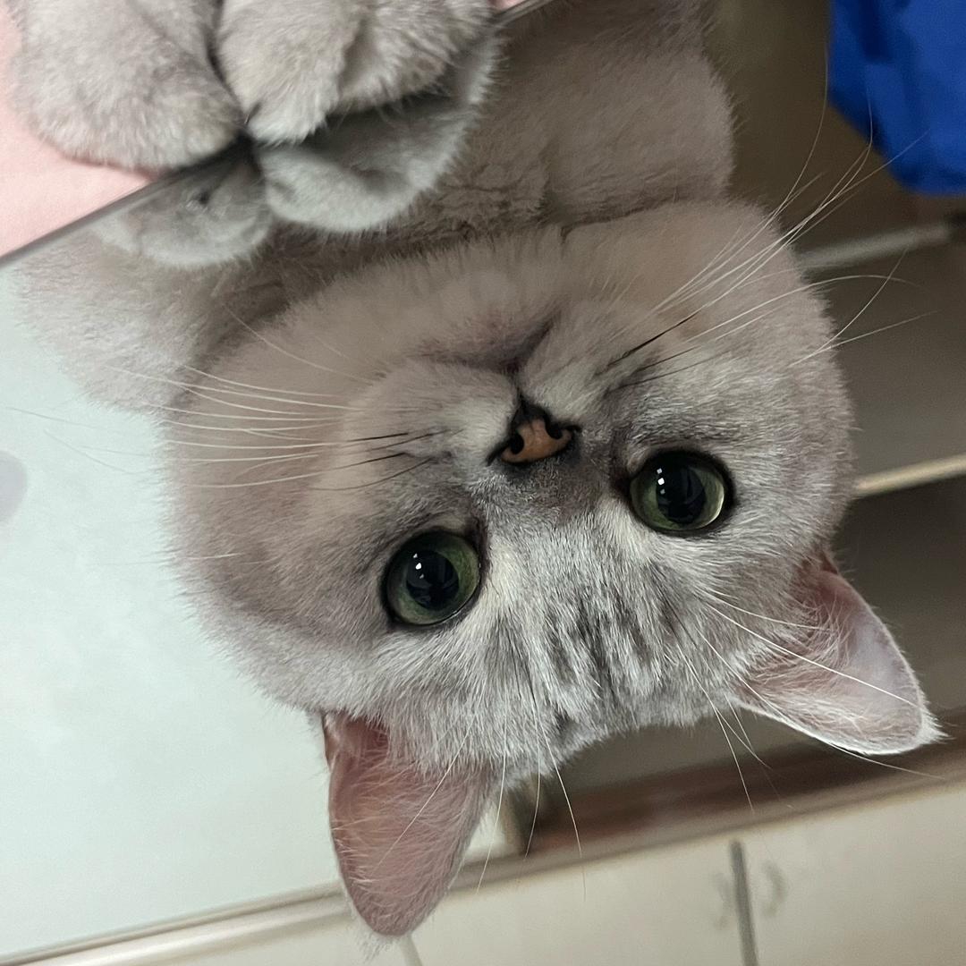 幸运