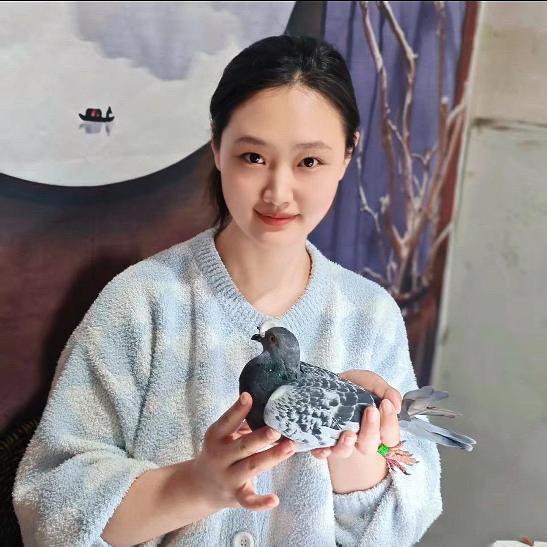 虹姐臻选鸽舍