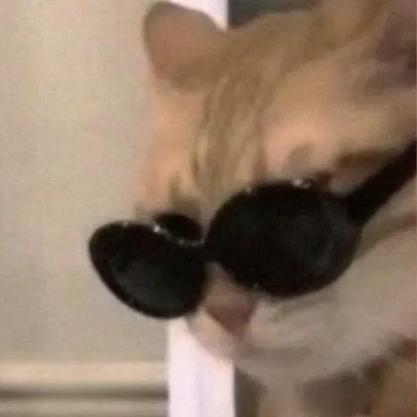 _Lm