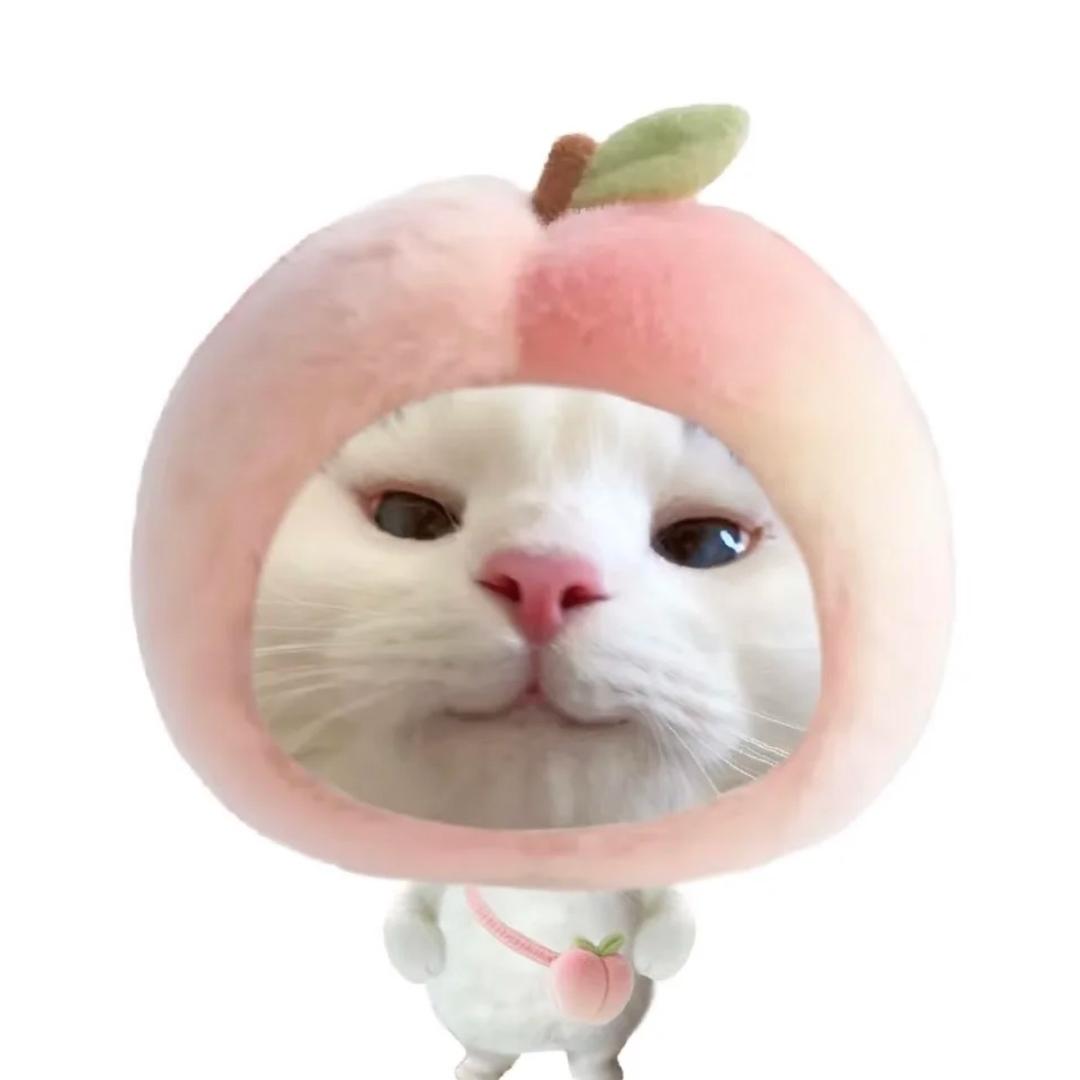 脑子宕机变成玉皇大帝