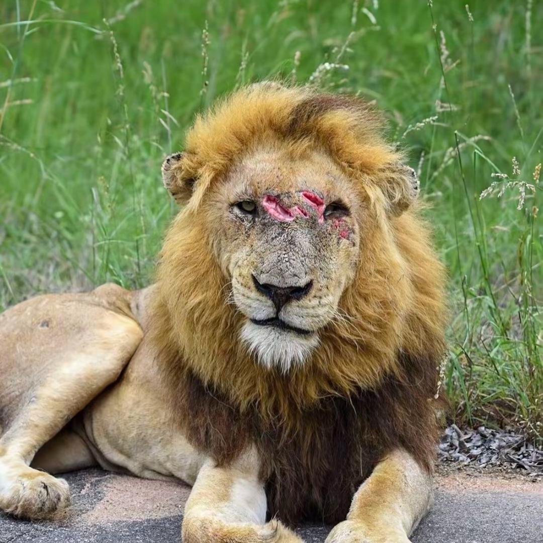 啊豪（收徒接业务）