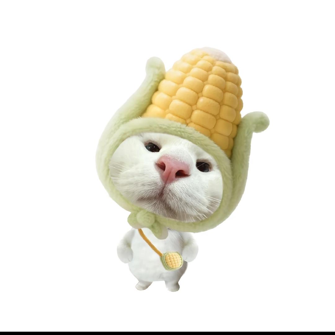 我挺权v