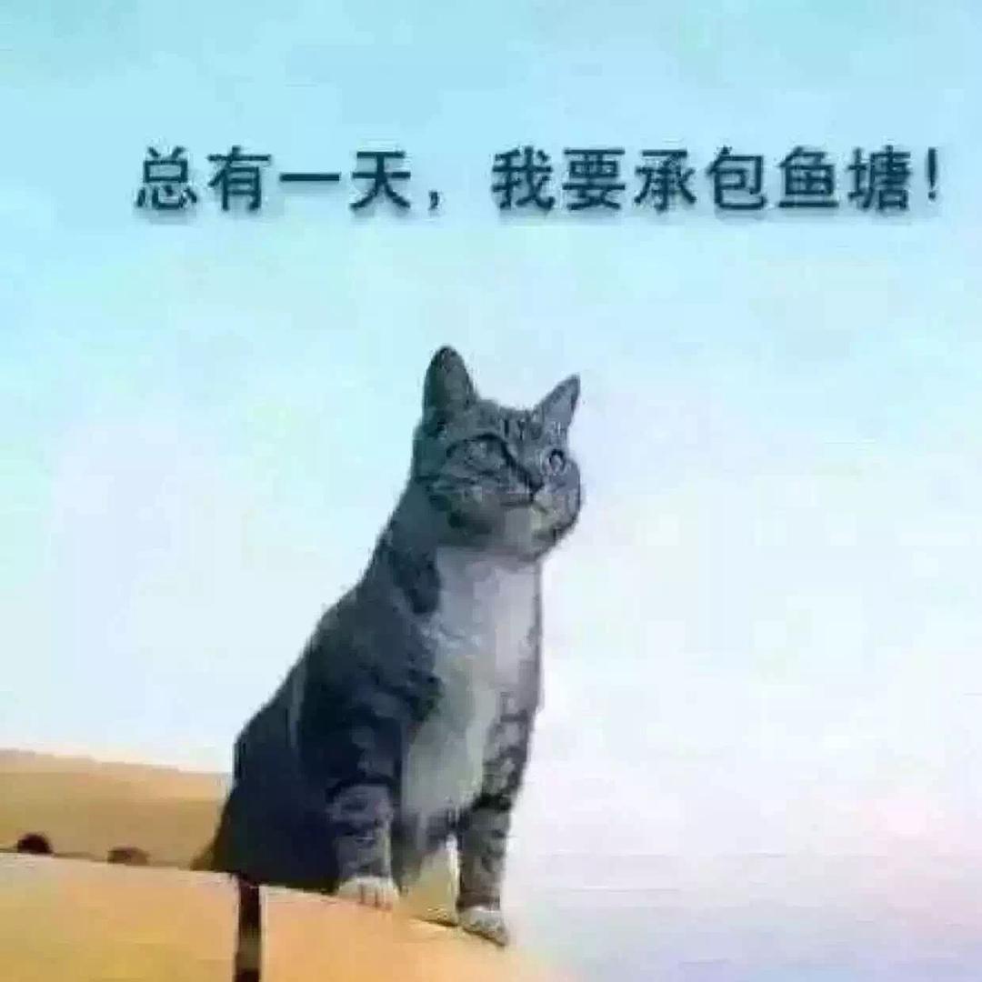 林深见鹿