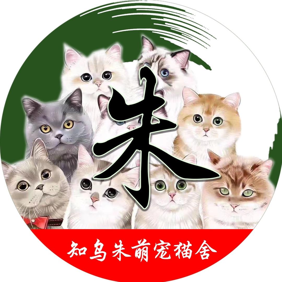 漫威少年淮安猫舍