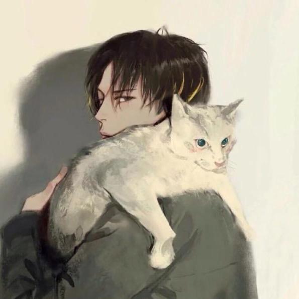 XPTS伯乐汽车贴膜