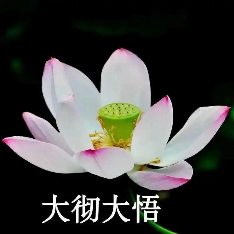 我是坏人.