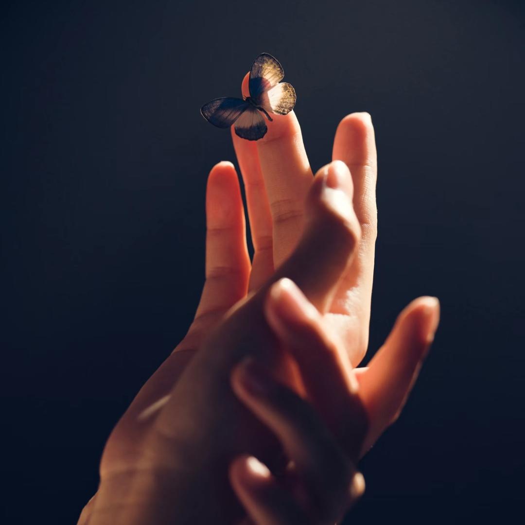 ࿐Dawadrolma 🕊️