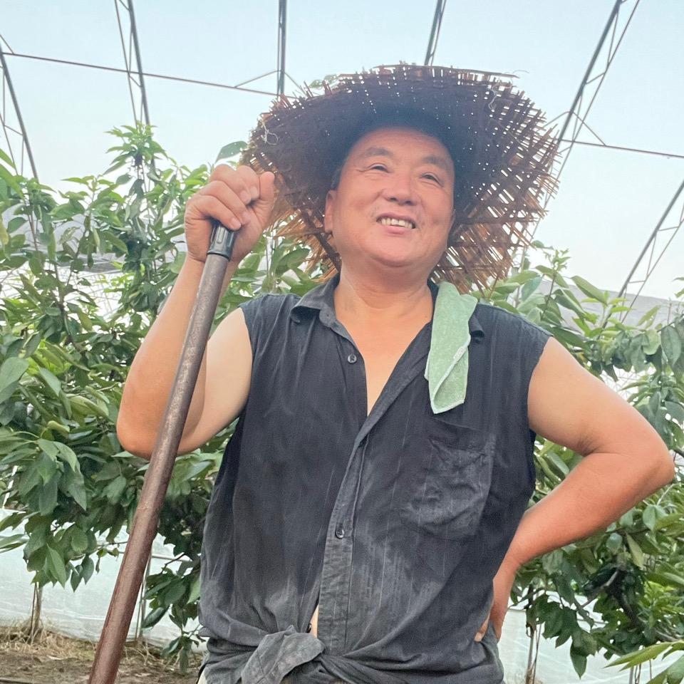 樱桃老贺🍒