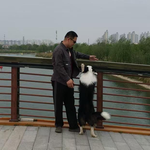 绿幕时空局