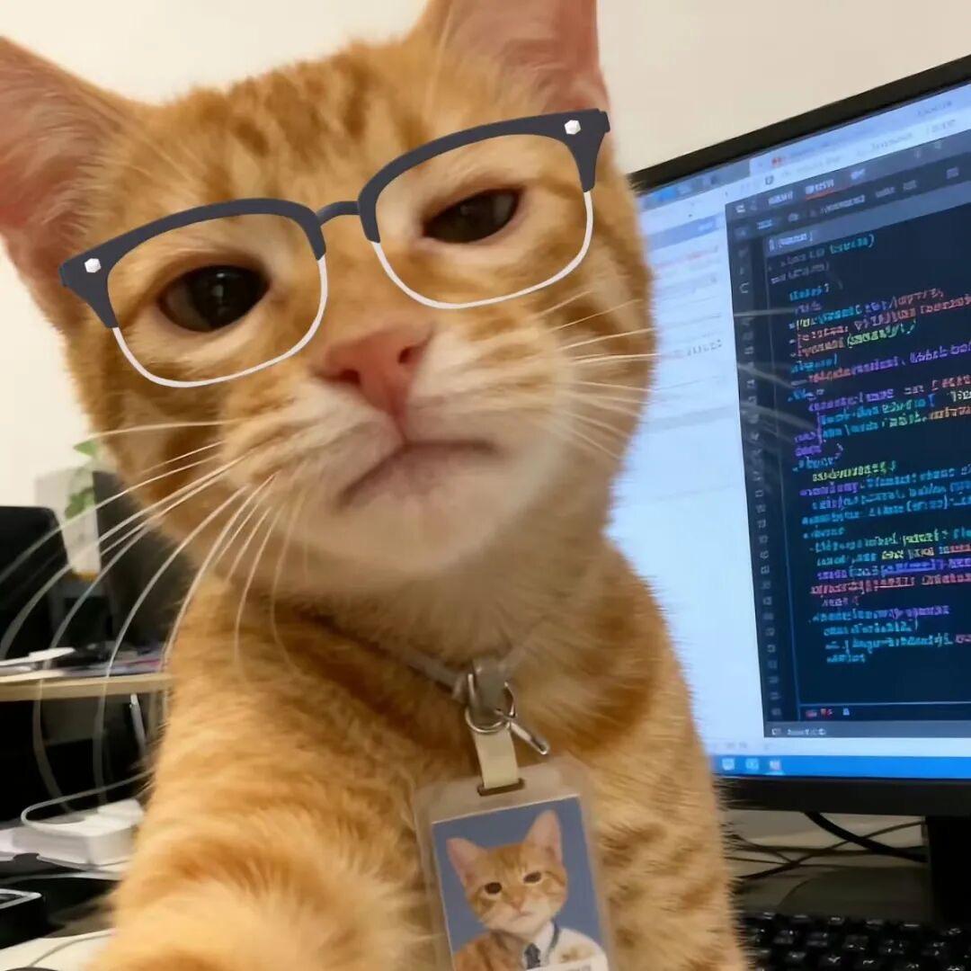 小徐大王来了yu