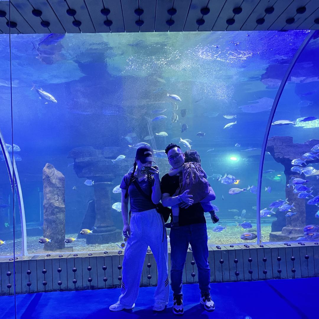 🌷怪可爱的居民✨