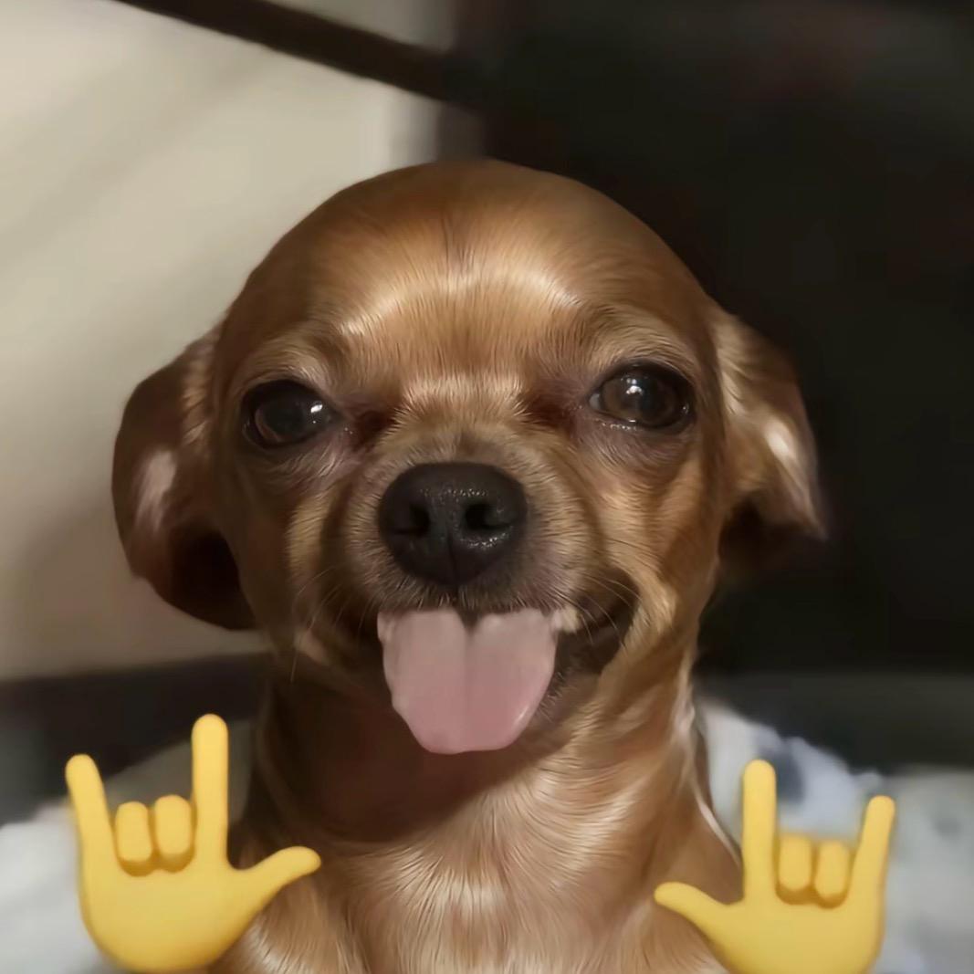 陪你一程我很开心