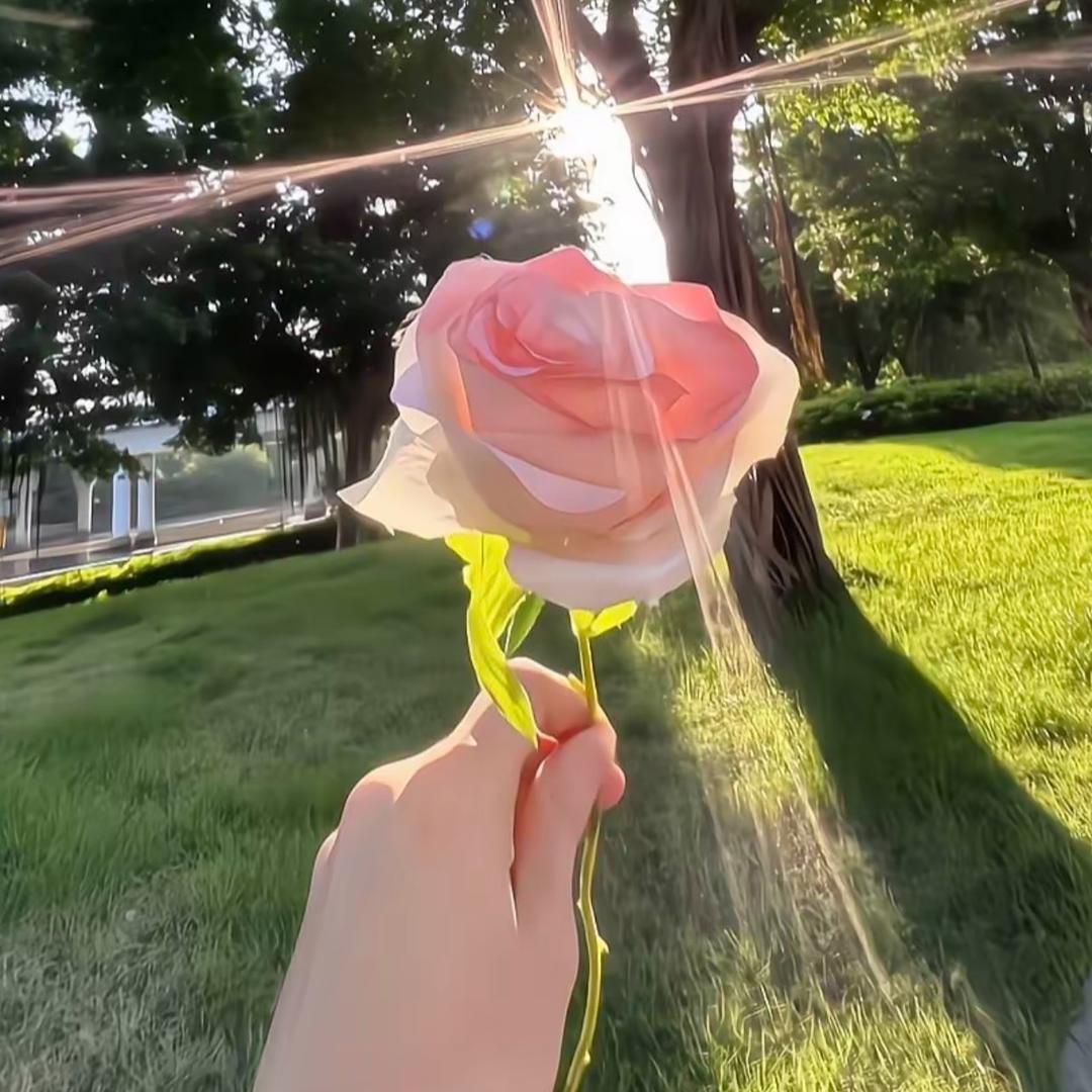婷¥