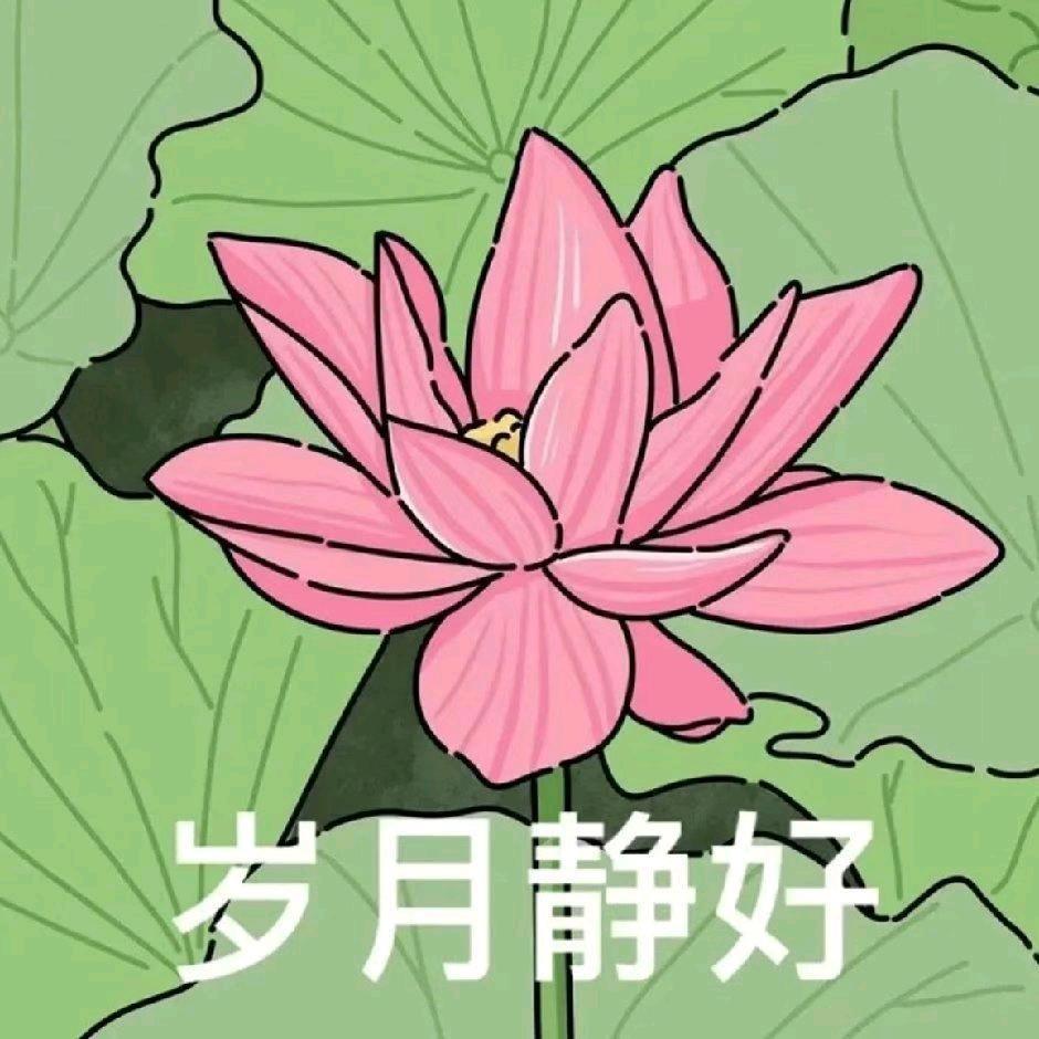 幸福的农村人