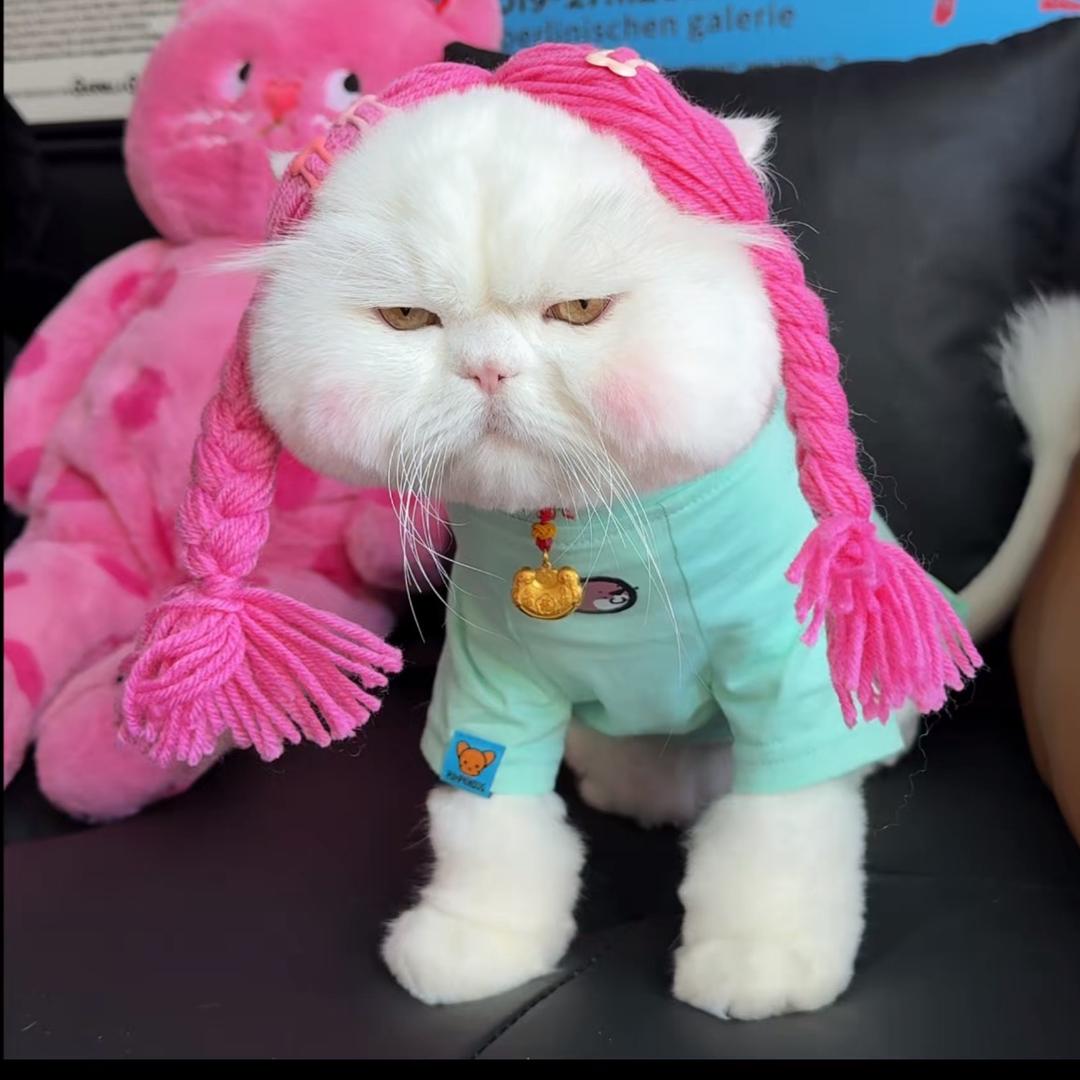 一朵风中摇曳的水仙花