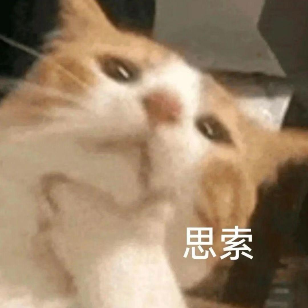 可以吃五碗米饭吗