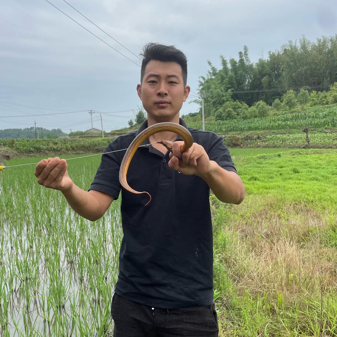 麻沙杆户外
