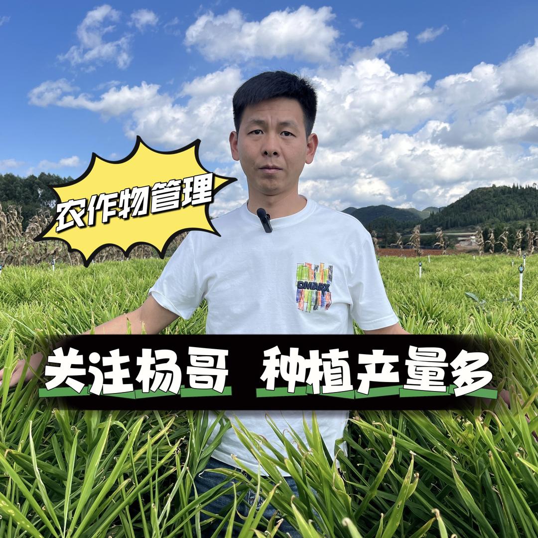 中农中科马关砚山区域负责人