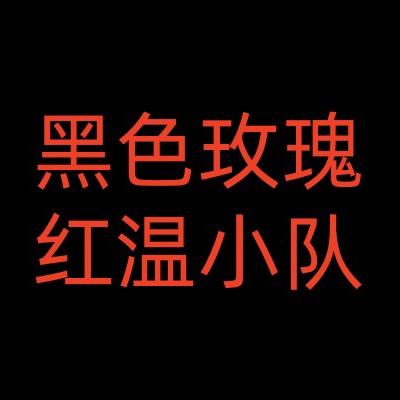 红温小队黑色内战