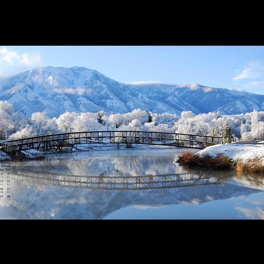 挖机小高