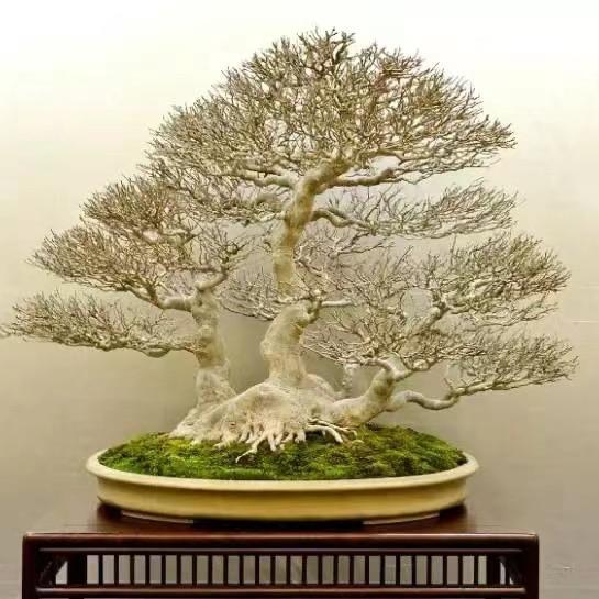 三友园