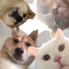 eeeeee