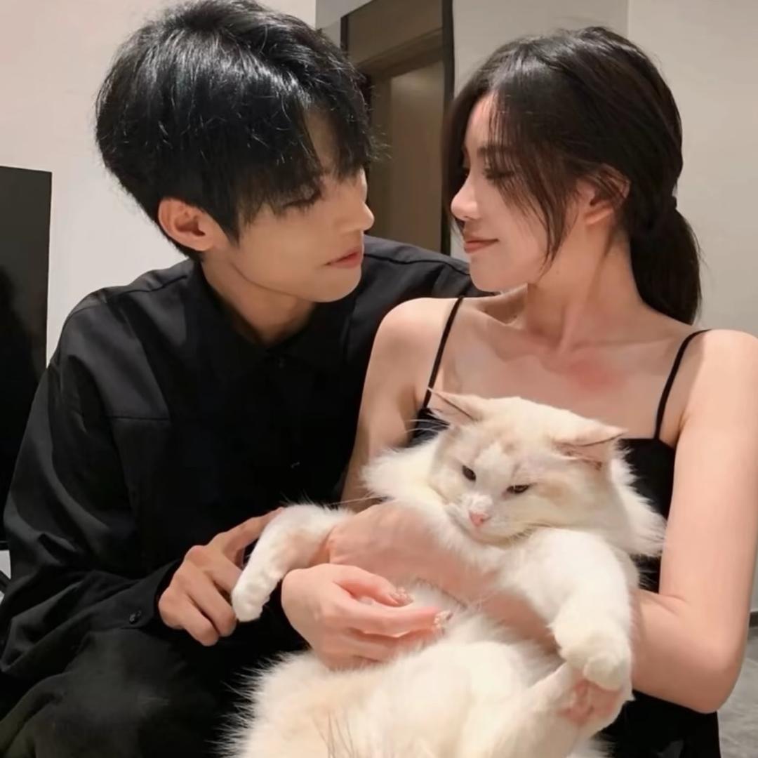 ai     雯儿🕊️