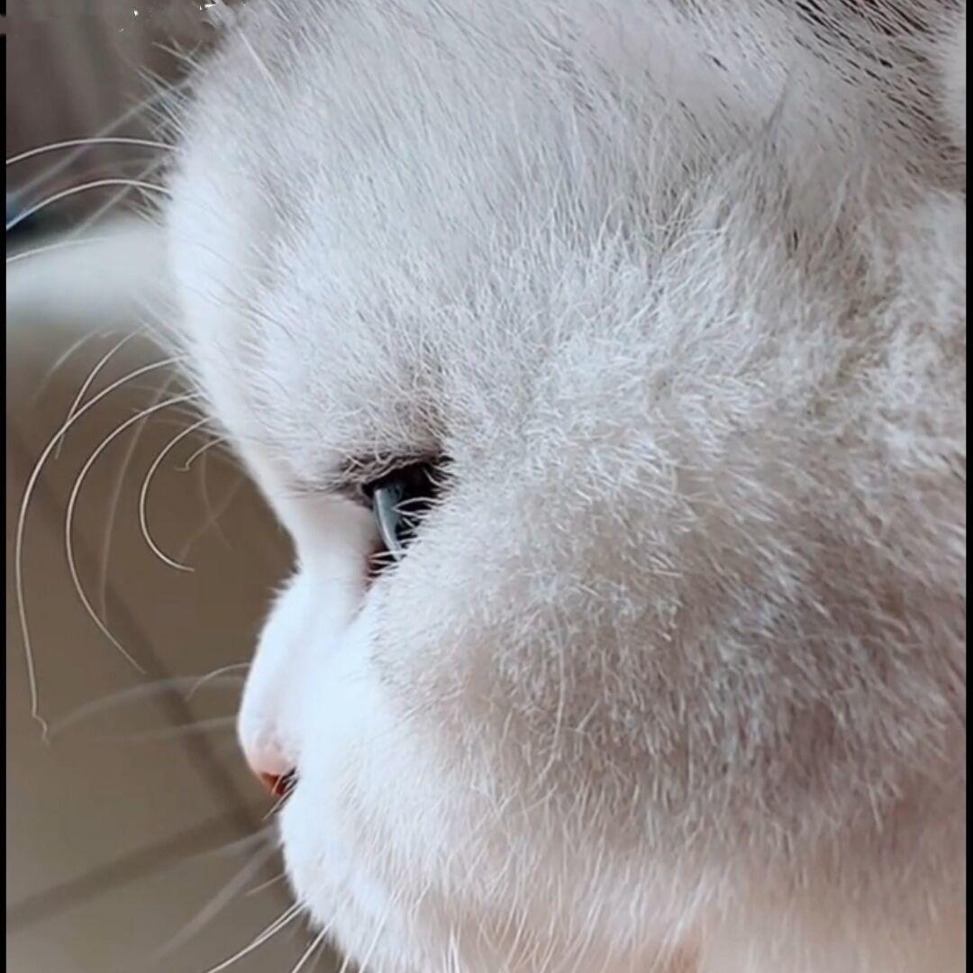 笑醒