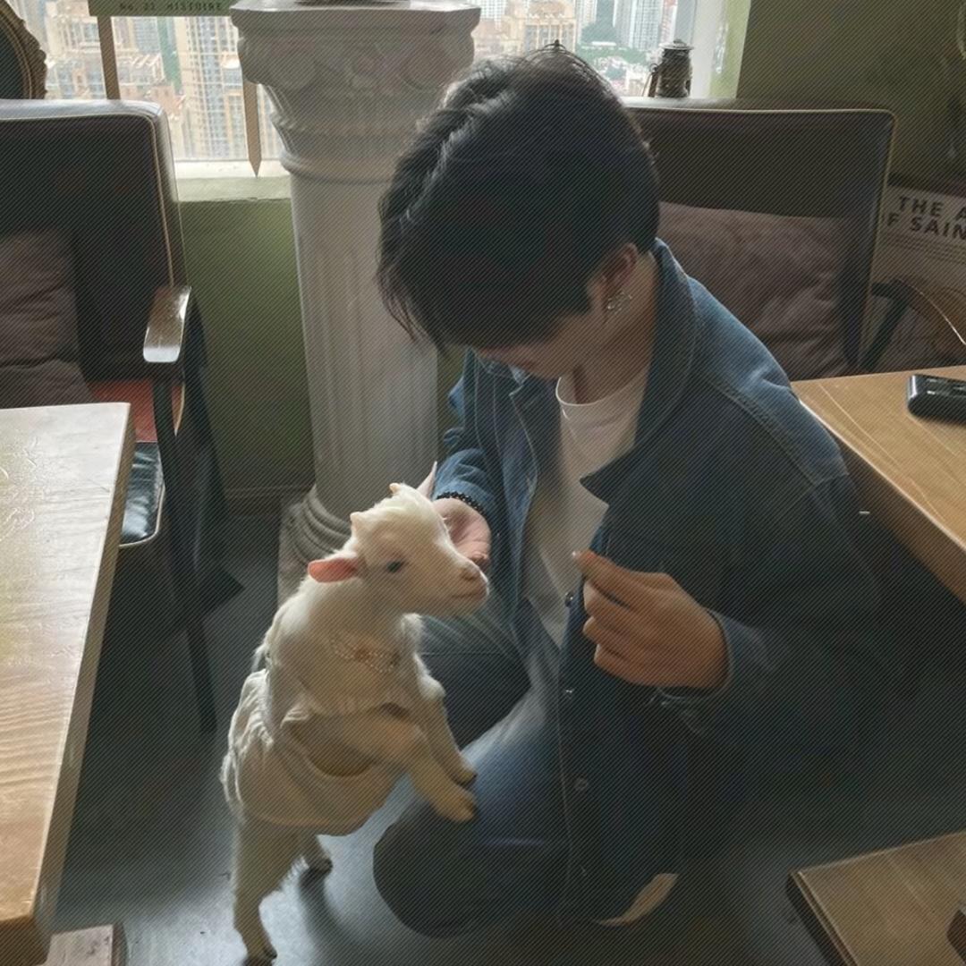 小说.