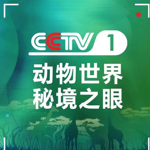 动物世界秘境之眼