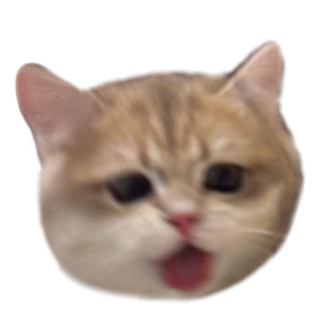 菠萝包