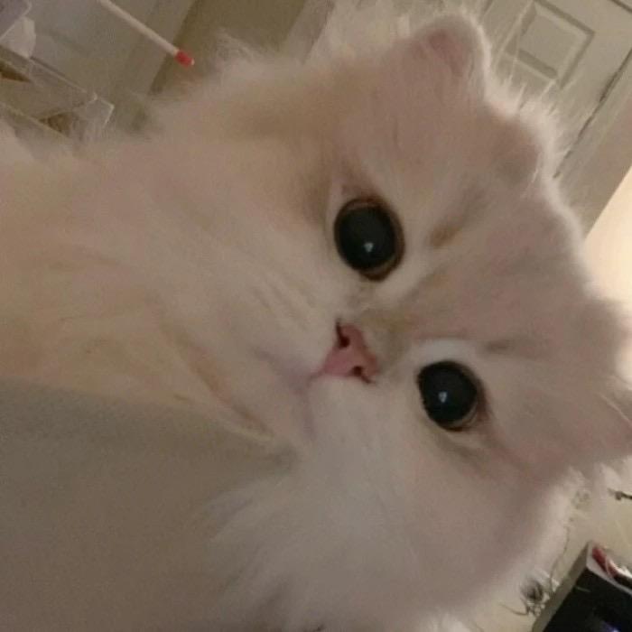 广东第一包子