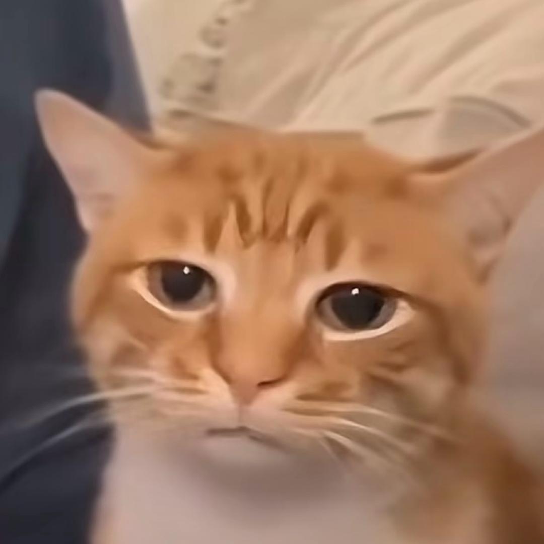 *素昧平生
