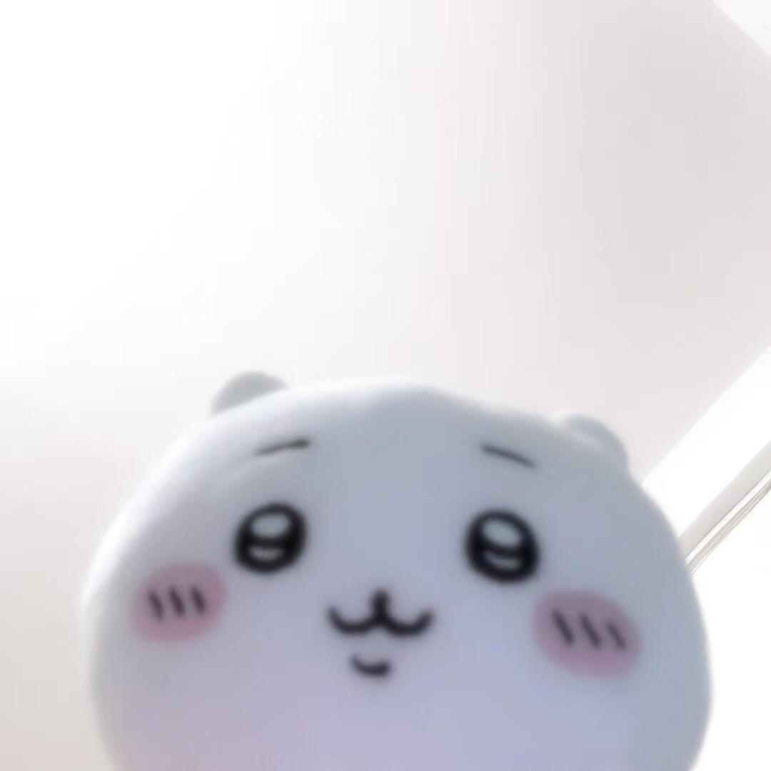 猫咪躲在被炉里不出来