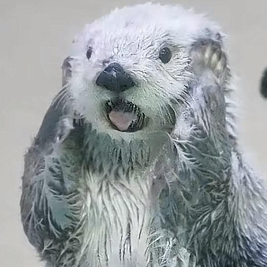 风雪琥珀（许嵩和我对视版）