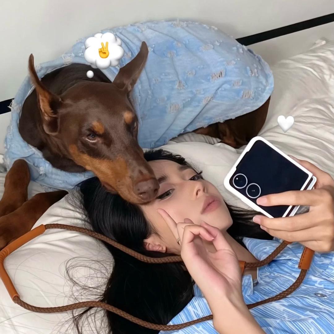 七秒记忆⏱️